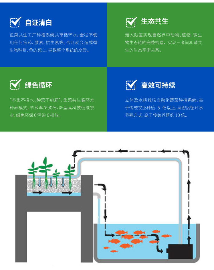 鱼菜共生系统