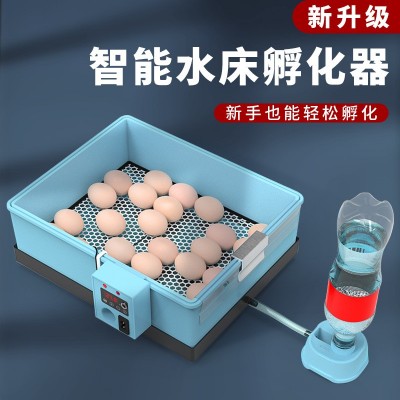 通达仿生水床孵化机 家用型20枚孵化器迷你泡沫水床 全自动孵蛋器