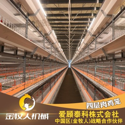 供应肉鸡笼养设备 小层叠肉鸡笼 鸡笼厂家养殖设备量大从优