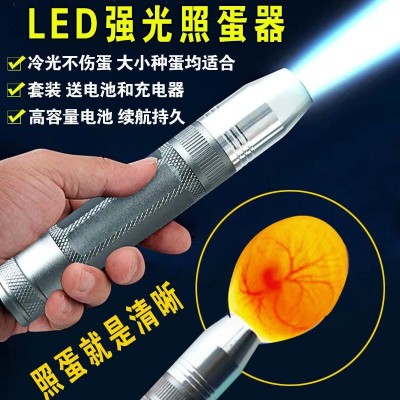 孵蛋检查种蛋发育 孵化选蛋照蛋器 孵化机用照蛋仪 LED冷光照蛋灯