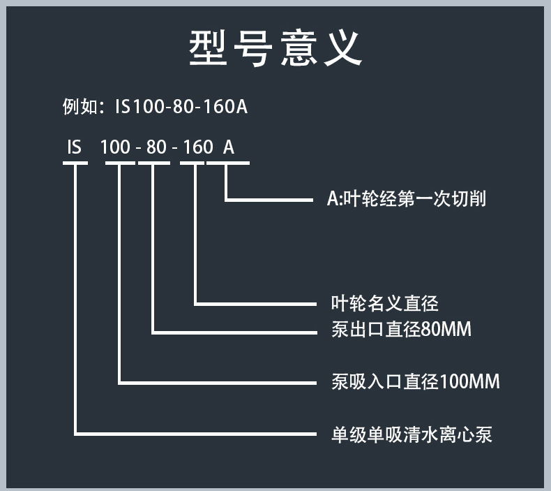 IS排版_09.jpg