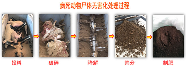 畜禽无害化处理流程