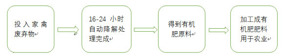 畜禽无害化处理流程