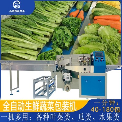 工厂现货全自动蔬菜包装机 豆芽胡萝卜香蕉套袋打包机 水果包装机