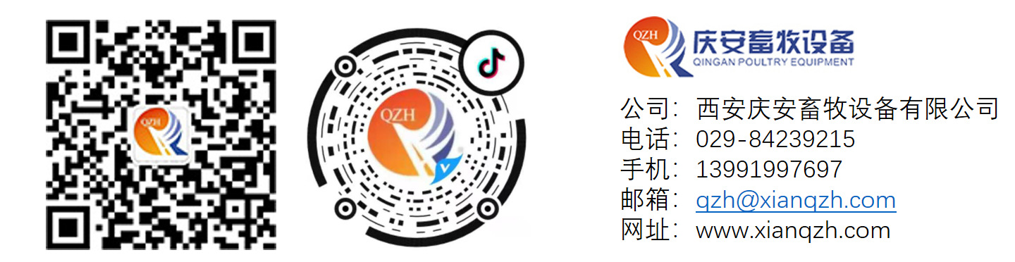 微信二维码抖音二维码logo联系方式