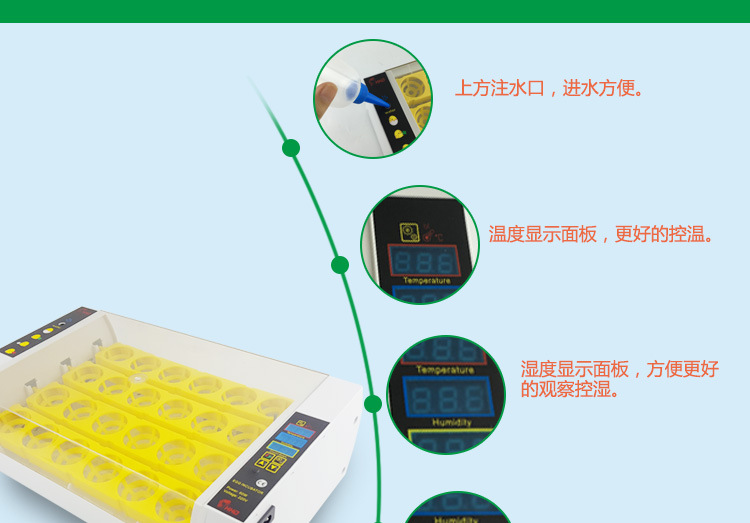 24枚详情_04