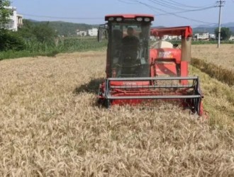 房县：高效农机助力，小麦机收跑出“加速度”