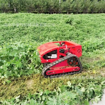 小型遥控割草机 履带式自行走山坡河道杂草除草机出口果园割草机