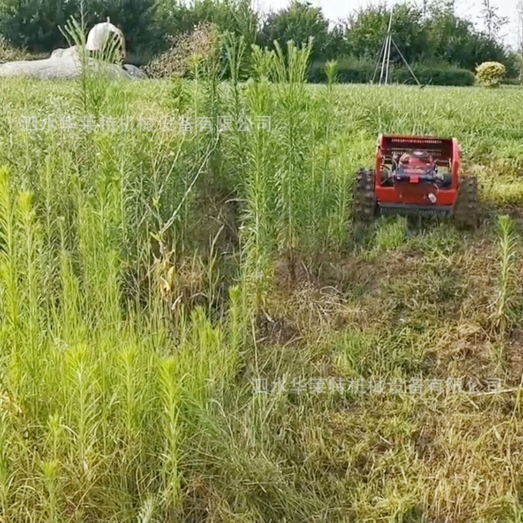 智能家用遥控割草机 小型果园杂草修剪机 履带河滩山坡草丛修剪机