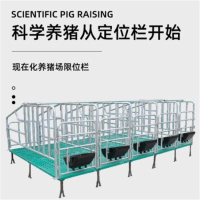 复合板限位栏 热镀锌母猪定位栏 落地式限位 栏