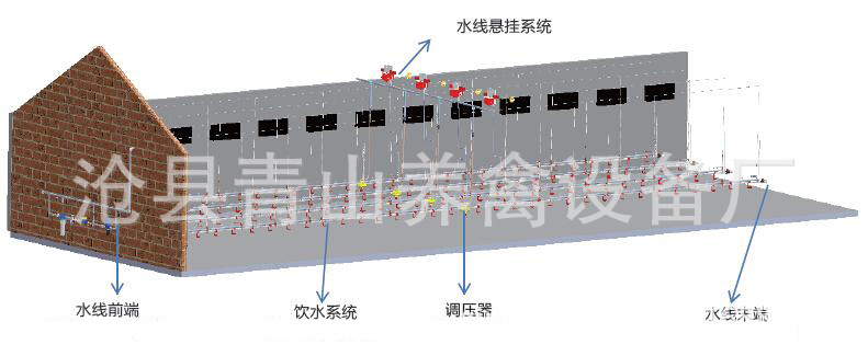 供应养鸡水线 全自动养鸡水线 肉鸡养殖设备 平养鸡料线 水线