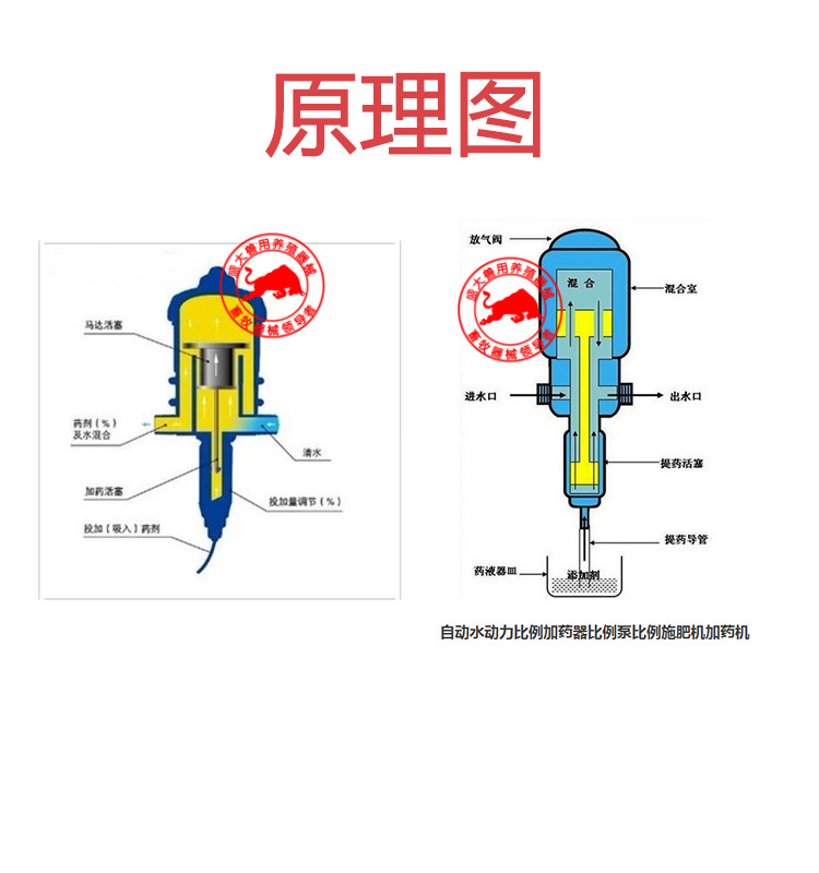 详情2.jpg